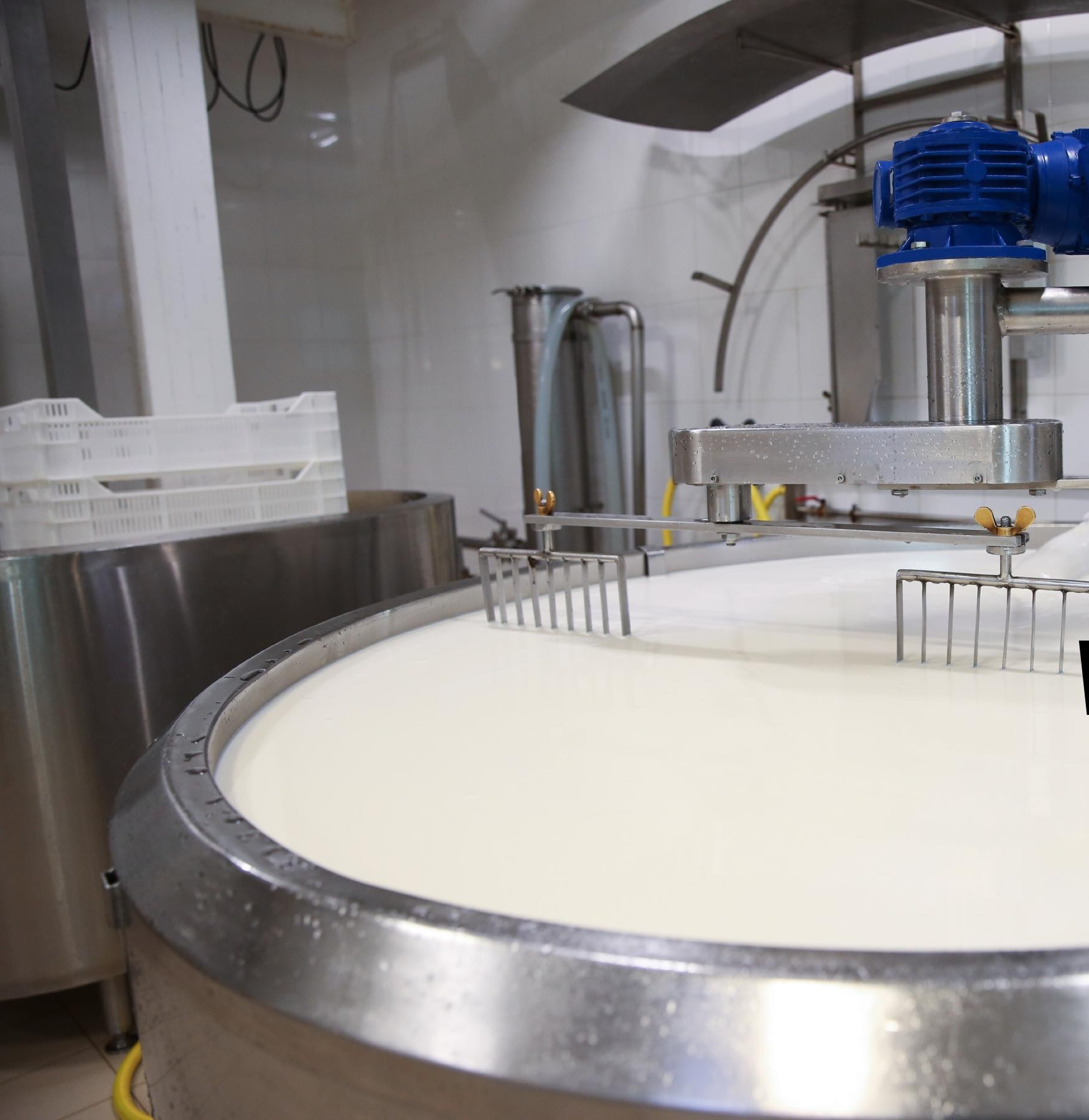 Vaidhya Foods processing